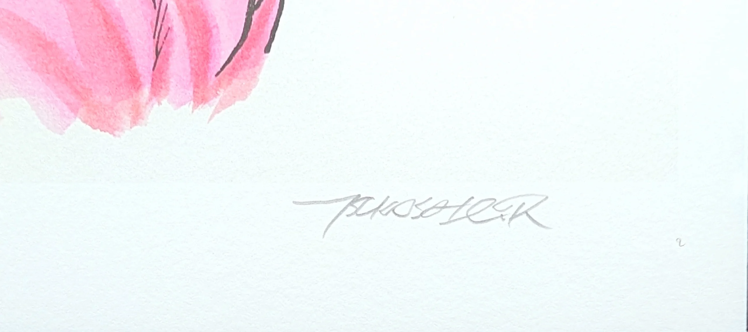 Détail macro d'une lithographie officielle dévoilant l'authentique signature manuscrite au crayon de l'auteur Tsukasa Hojo sur un luxueux papier d'art texturé à fort grammage.