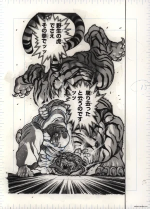 Vue d'ensemble du fukusei genga officiel de Baki illustrant le combat mythique entre le karatéka Doppo Orochi et un tigre.